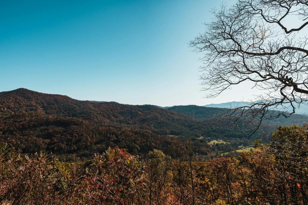 Loving our Favorite Places from&nbsp;Afar